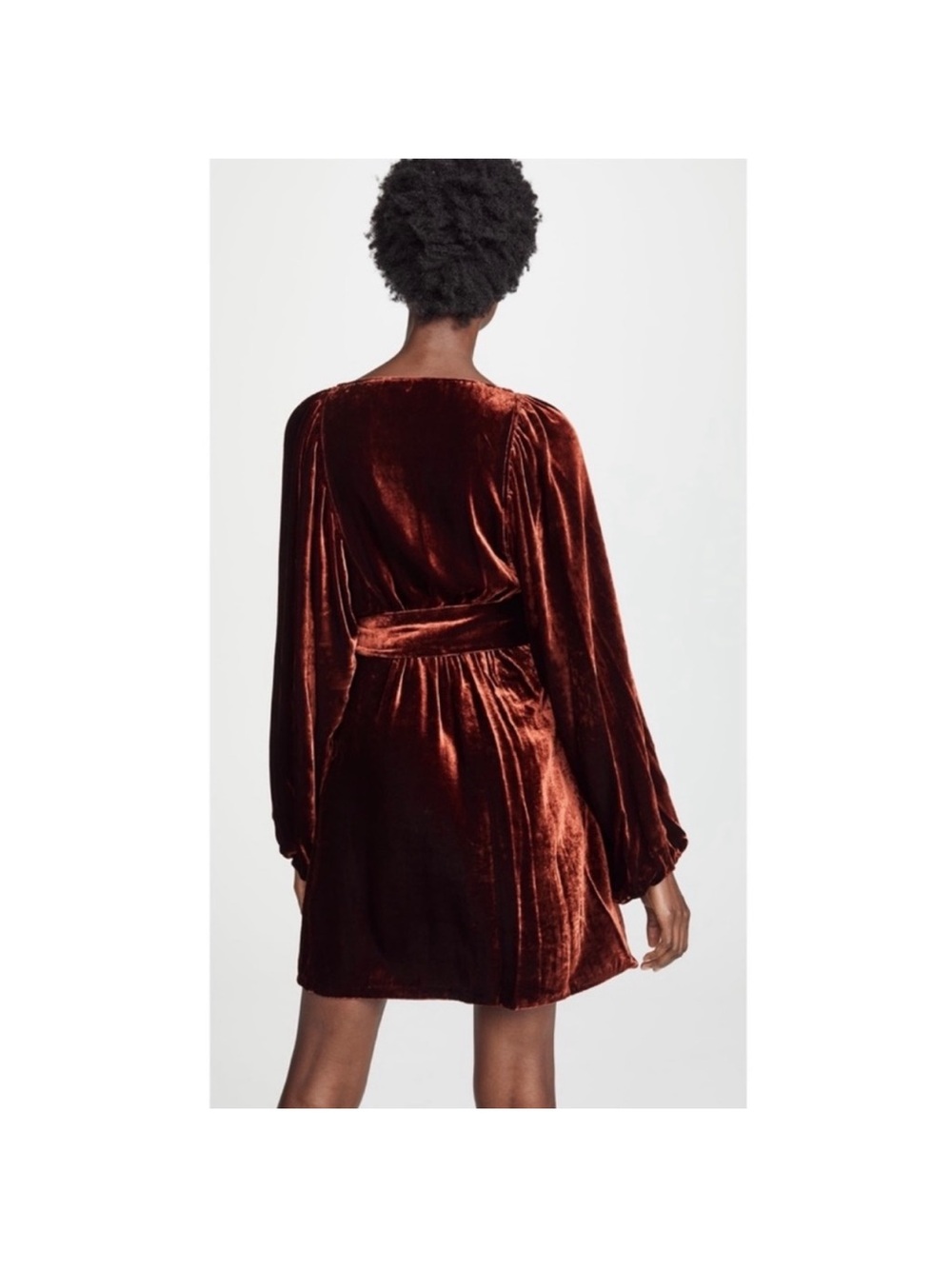 A.L.C. Velvet Mini Dress in Deep Rust